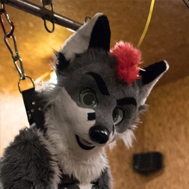 Furry